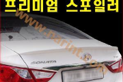 Спойлер задний с покраской для Hyundai YF Sonata [RACETECH]