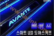LED накладки на внутренние пороги для The New Avante MD