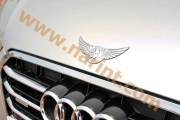 Эмблема C194 для Audi A6 (AutoClover)